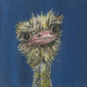 Cheeky Ostrich