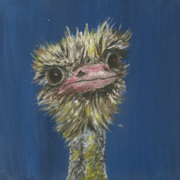 Cheeky Ostrich